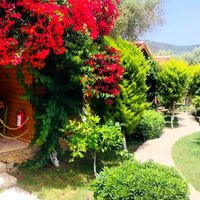 Boheme Ahşap Evleri