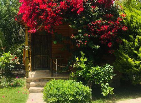 turkey/mugla/datca/bohembutikhousesdatcac3a47bb6.jpg