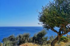 turkey/mugla/datca/elitotelpalamutbuku82c0898e.jpg