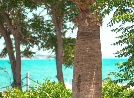 turkey/mugla/datca/ferisurfclubddac1b59.jpg