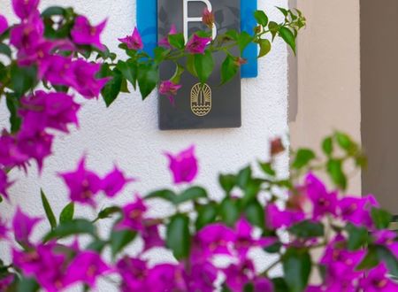 turkey/mugla/datca/ferisurfclubhotelf9d32d21.jpg