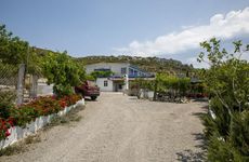 turkey/mugla/datca/goknarknidosotela1998af2.jpg