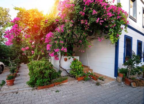 turkey/mugla/datca/kayaapartdatcaae3b533f.jpg