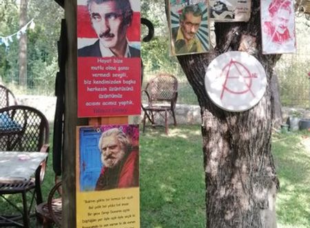 turkey/mugla/datca/kuruyanosagacevleri1edb6ab6.jpg
