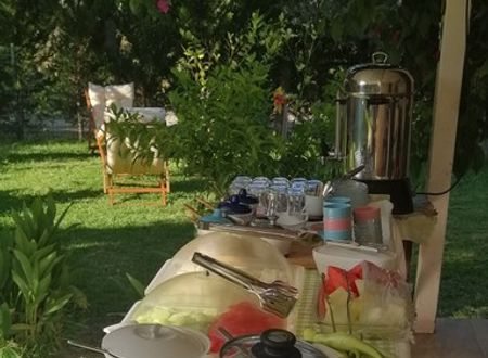 turkey/mugla/datca/kuruyanosagacevleri33173958.jpg