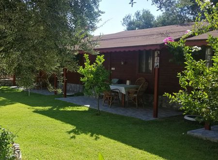 turkey/mugla/datca/kuruyanosagacevleri3dc92253.jpg