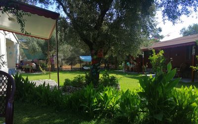 Kuruyanos Ağaç Evleri · 4