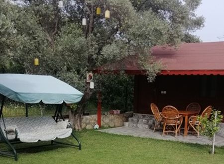 turkey/mugla/datca/kuruyanosagacevleri4bd72797.jpg
