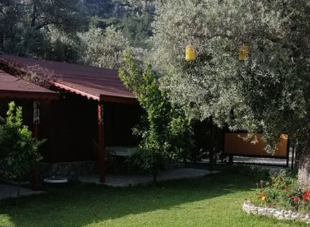 turkey/mugla/datca/kuruyanosagacevleri4fab8203.jpg
