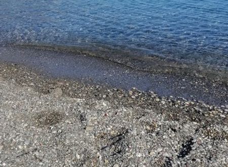 turkey/mugla/datca/kuruyanosagacevleri6958675f.jpg