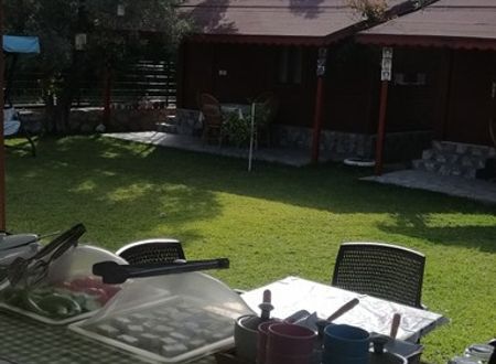 turkey/mugla/datca/kuruyanosagacevleri717e660f.jpg