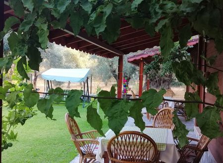 turkey/mugla/datca/kuruyanosagacevlerid823b435.jpg