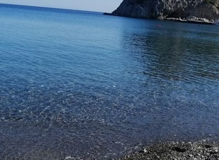 turkey/mugla/datca/kuruyanosagacevleriff16a9e7.jpg