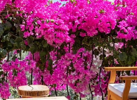turkey/mugla/datca/limanpansiyonguesthouse017bf82b.jpg