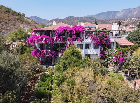 turkey/mugla/datca/limanpansiyonguesthouse13dd4feb.jpg