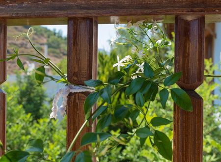 turkey/mugla/datca/limanpansiyonguesthouse6c785f48.jpg