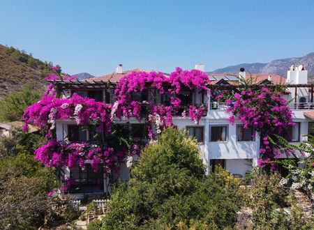 turkey/mugla/datca/limanpansiyonguesthouse9f2af8f0.jpg