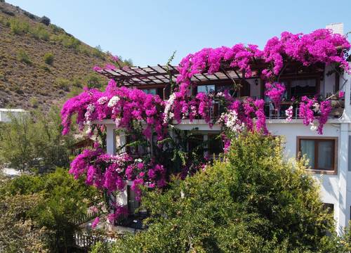 turkey/mugla/datca/limanpansiyonguesthousedb56393d.jpg