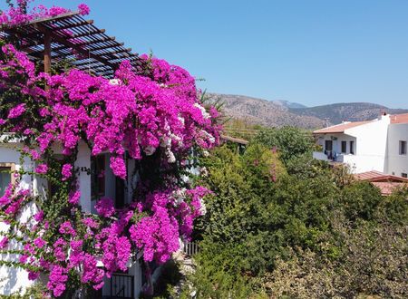 turkey/mugla/datca/limanpansiyonguesthousee415eb0b.jpg