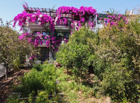 turkey/mugla/datca/limanpansiyonguesthousee807f98a.jpg