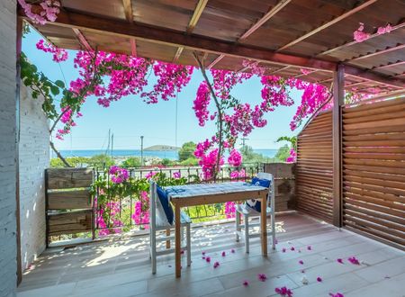turkey/mugla/datca/limanpansiyonguesthousef706136a.jpg