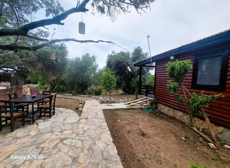 turkey/mugla/datca/ovabukuahsapevler15973992.jpg