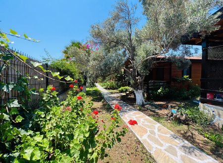 turkey/mugla/datca/ovabukuahsapevler248d39c6.jpg