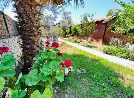 turkey/mugla/datca/ovabukuahsapevler5b90e44a.jpg