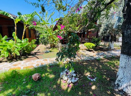 turkey/mugla/datca/ovabukuahsapevler7f5cd404.jpg