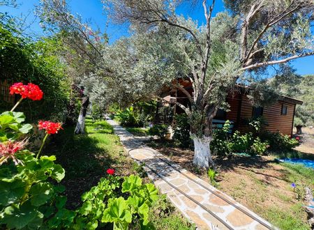turkey/mugla/datca/ovabukuahsapevlera28f14c3.jpg