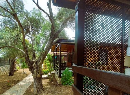 turkey/mugla/datca/ovabukuahsapevlera6bdf9b9.jpg