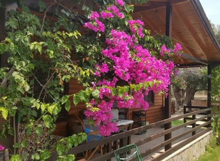 turkey/mugla/datca/ovabukuahsapevlerb692ef0b.jpg