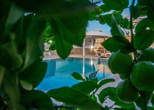 turkey/mugla/datca/ozgumsuitedatcad654b349.jpg