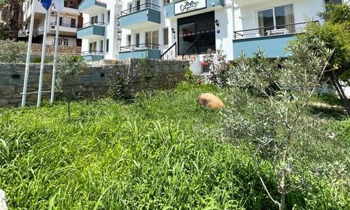 turkey/mugla/datca/ozgumsuiteotel48bb1e69.jpg