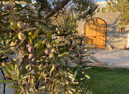turkey/mugla/datca/sur7butikotel45676c5c.jpg
