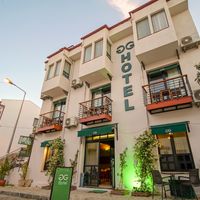 The Green Goose Hotel