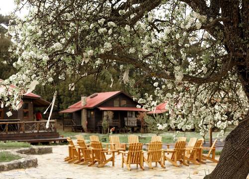 turkey/mugla/fethiye/babakampecoranchretreat73c8819e.jpg