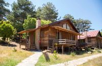 Twin Houses Shingles