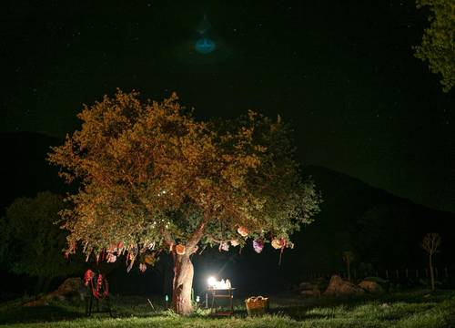 turkey/mugla/fethiye/babakampecoranchretreatdca5f9e7.jpg