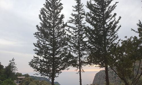 turkey/mugla/fethiye/baharoglulifehousefalarya867552d3.jpg