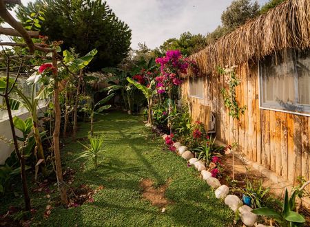 turkey/mugla/fethiye/begonvillabungalows13ac621b.jpg