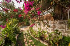 turkey/mugla/fethiye/begonvillabungalows77bb7bdf.jpg