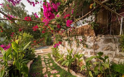 Begonvilla Bungalows · 4