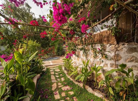 turkey/mugla/fethiye/begonvillabungalows77bb7bdf.jpg