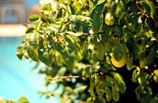 turkey/mugla/fethiye/cennethotel64384ba3.jpg