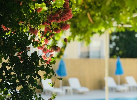 turkey/mugla/fethiye/cennethotel6d92c291.jpg