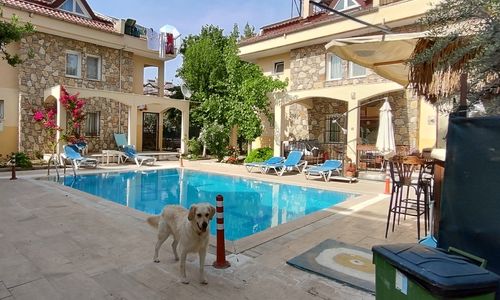 turkey/mugla/fethiye/cileksapartotel4ff8d5e4.jpg