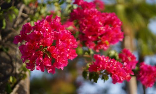 turkey/mugla/fethiye/clubhotelletoonia3b86ca3c.jpg