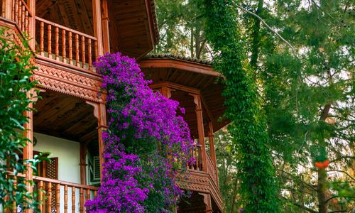 turkey/mugla/fethiye/clubhotelletoonia5ac11bcf.jpg