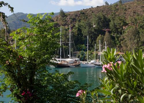 turkey/mugla/fethiye/clubhotelletoonia69696970.jpg